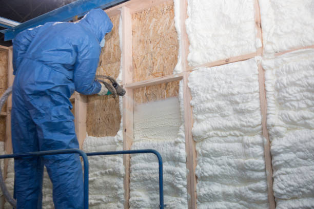 Best Batt and Roll Insulation  in Clay, KY